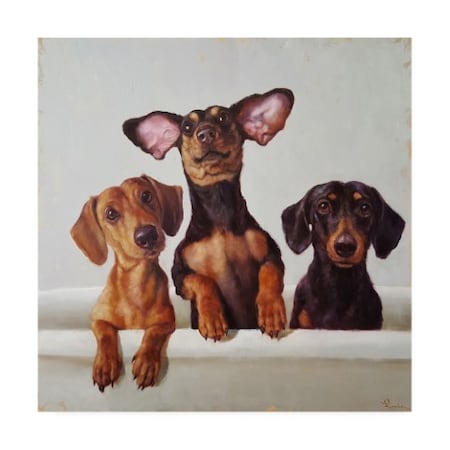 Lucia Heffernan '3 Amigos' Canvas Art,35x35